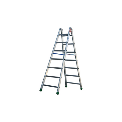 SCALE DOPPIA SALITA 'PROFESSIONAL 1'