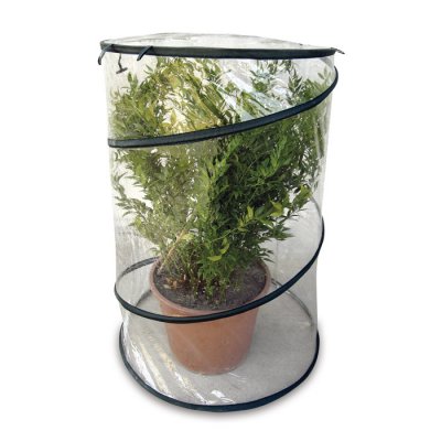 SERRA POP-UP Verdelook
