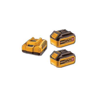 SET BATTERIE + CARICABATTERIE