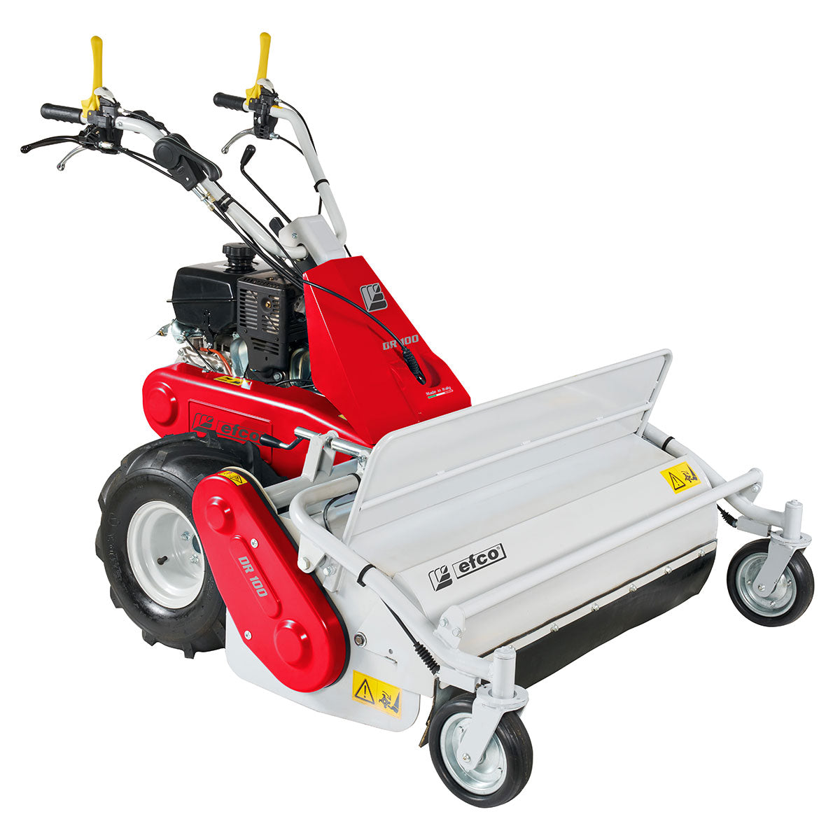 DR 100 Efco