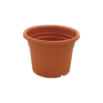 VASI "DAHLIA"