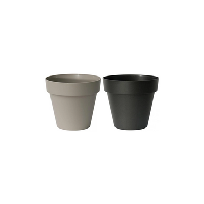 VASO MITU PAC