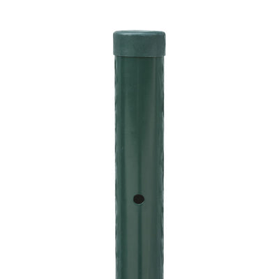 PALO TONDO VERDE Verdelook