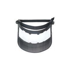 Combi visor