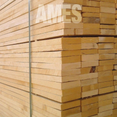 ames281