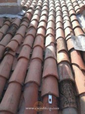 grande_87_66985